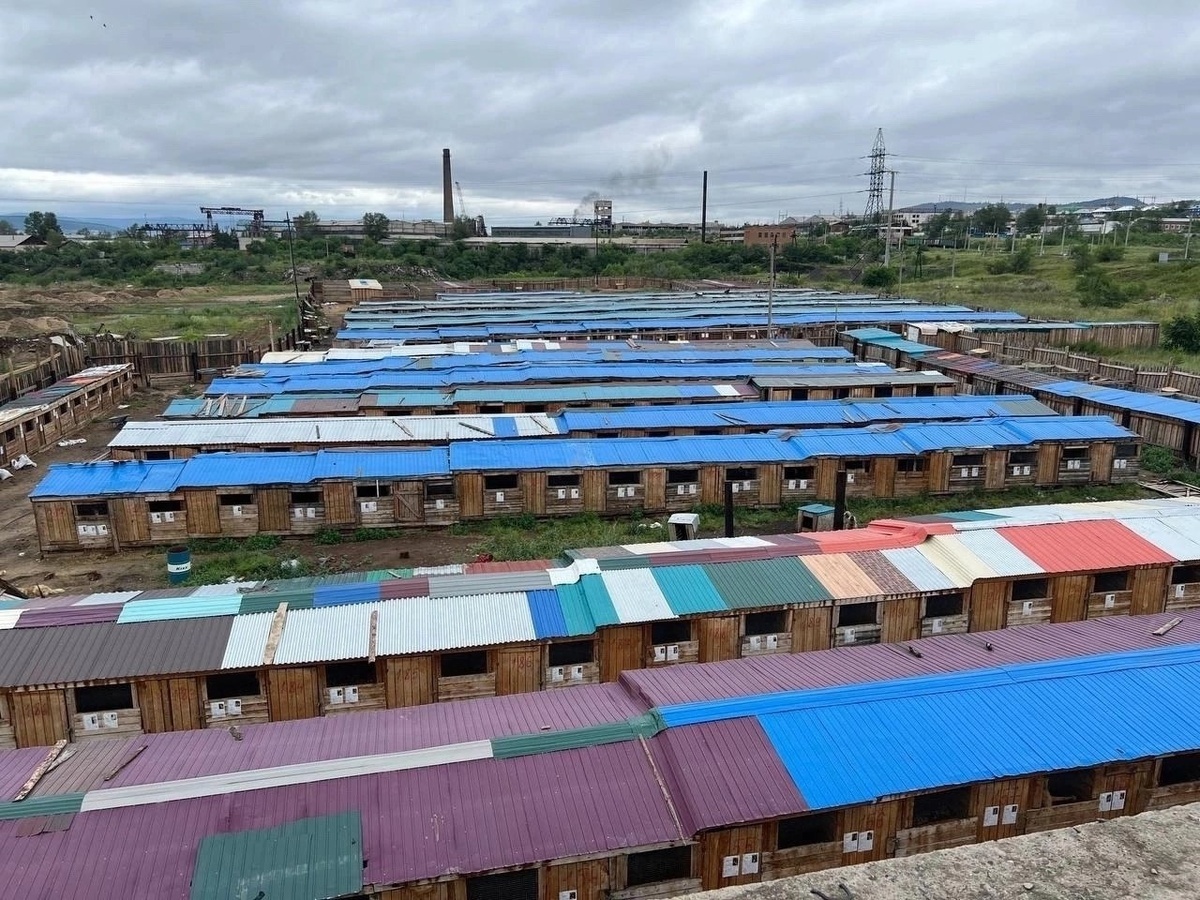 Приют Ананда, часть территории