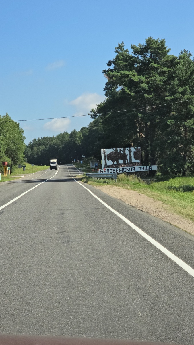 Дорога в Беловежскую Пущу