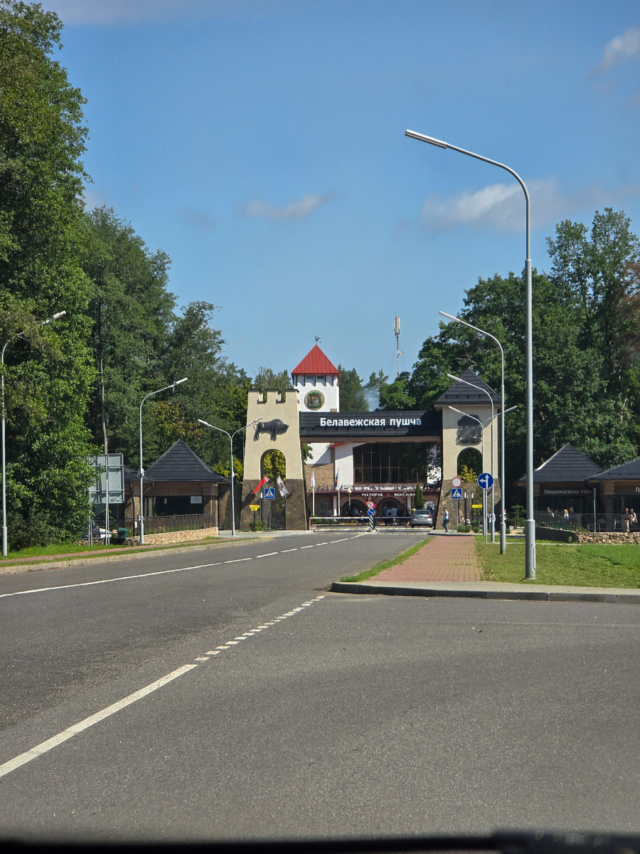 Беловежская пуща