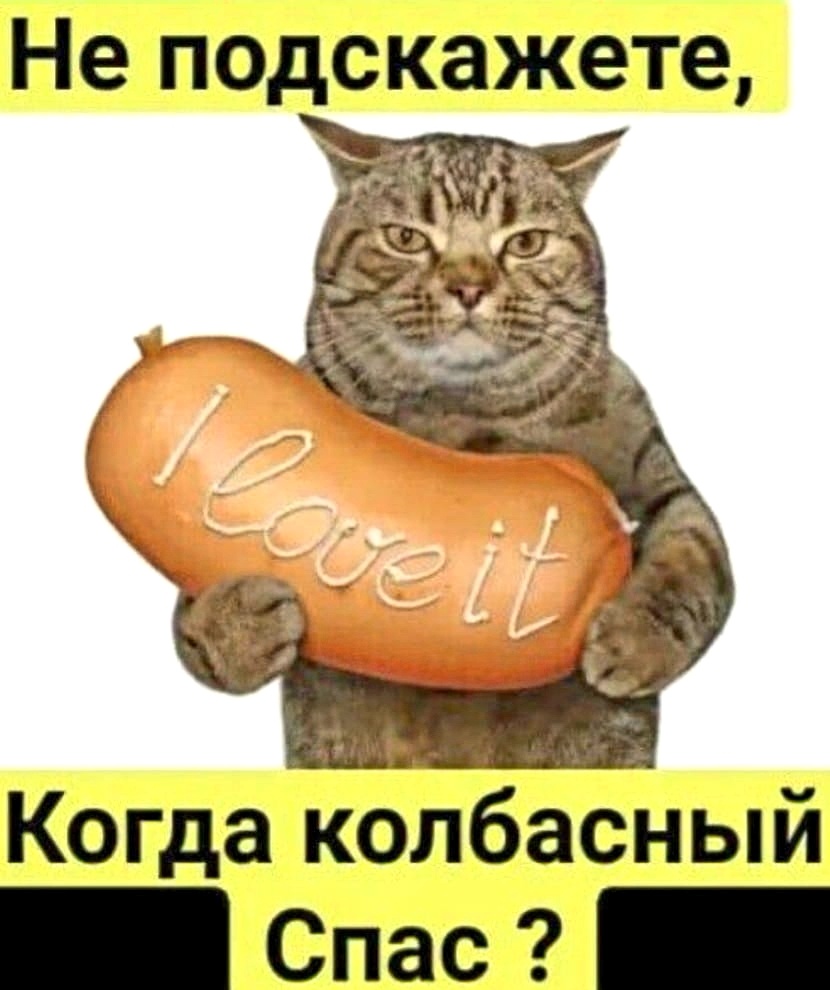 Интернет, общий доступ)