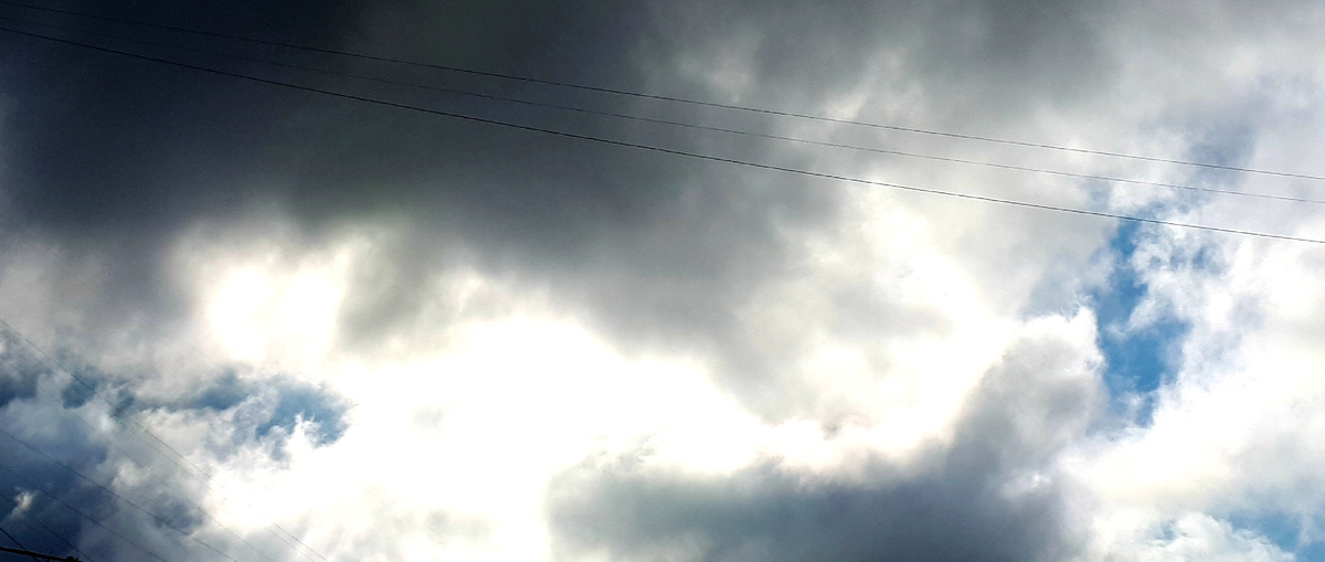 Фото автора 19.08.2025г.