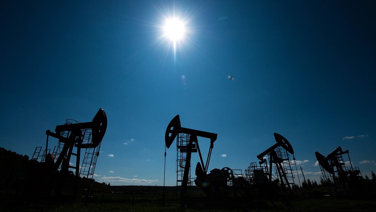   Александр Манзюк / ТАСС