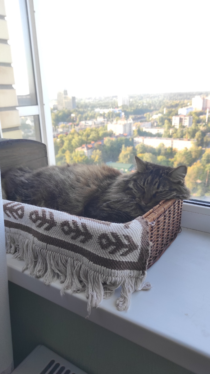 Завтрак перед выходом не забудь мне оставить! 