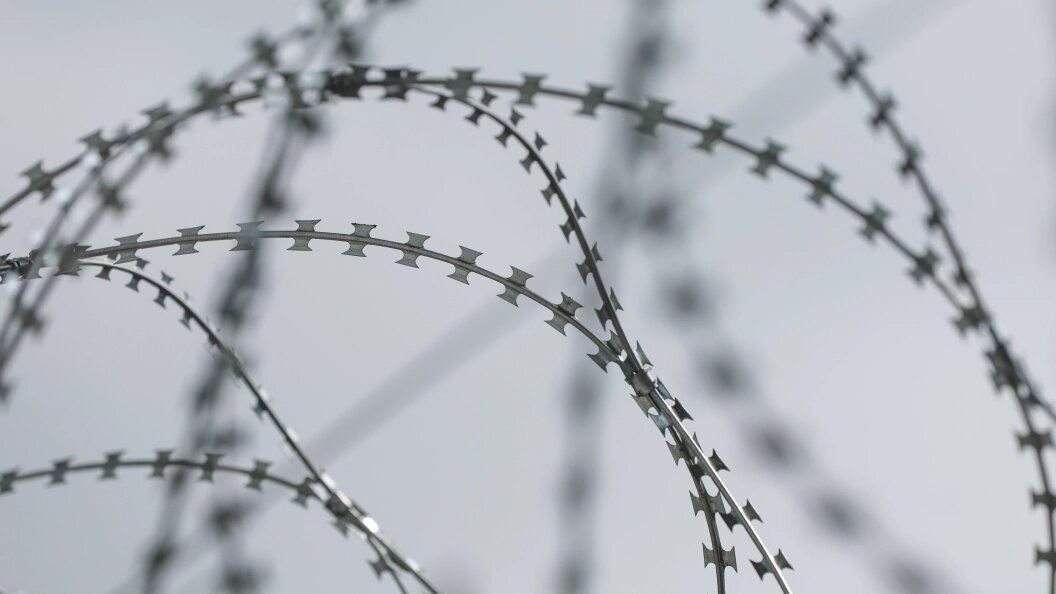    Фото: Belkin Alexey/Globallookpress