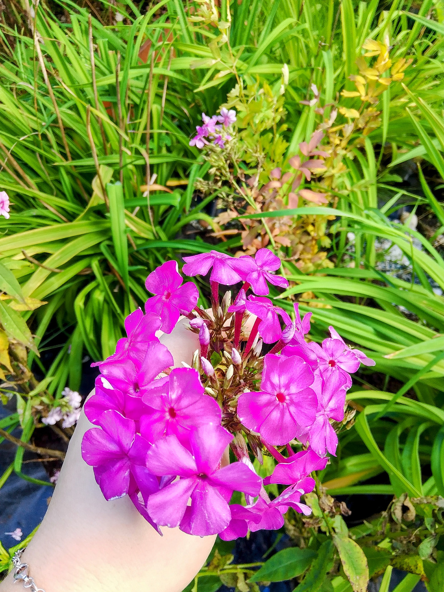 Средняя высота