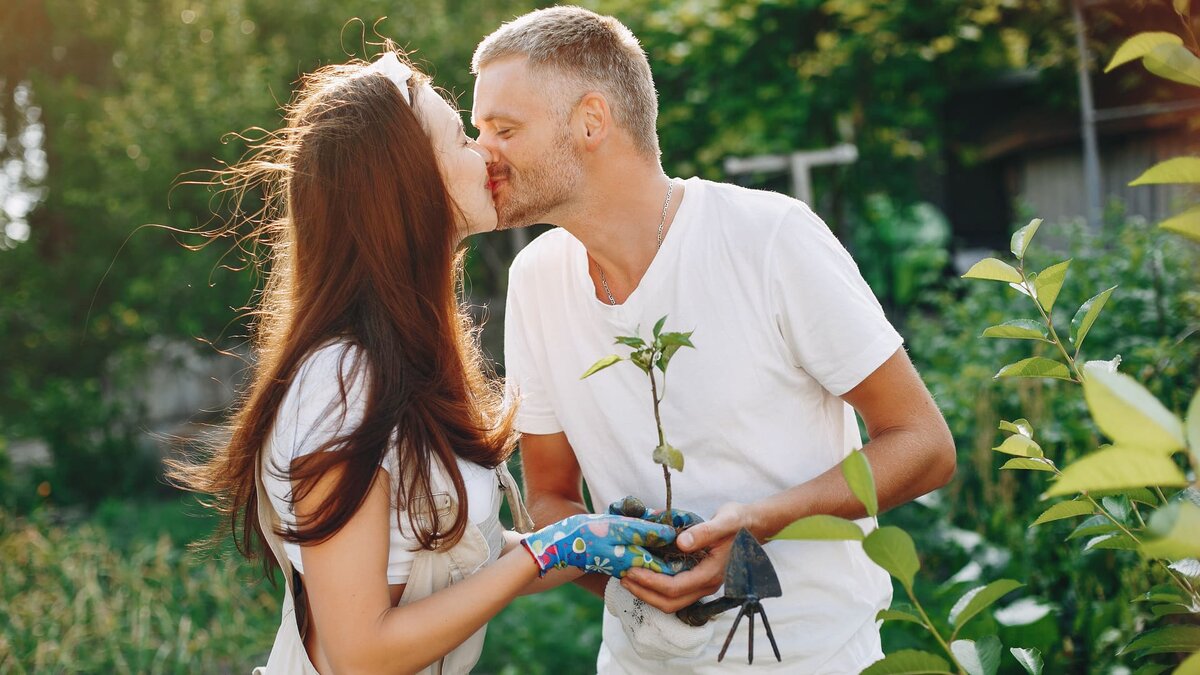    На пятую годовщину посадите дерево. Фото: Freepik