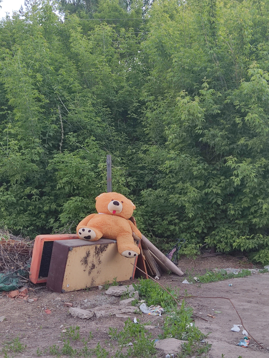 Брошен мишка на диван, 
Бесполезным стал он нам.
Появилась в доме кошка, 
Поиграла с ним немножко.
Покрутилась повертелась,
Поцарапать все успела. 
Чуть потрепан, чуть разбит,
Сердце пламенем горит.
Брошен мишка на помойку,
Одинок, и смотрит горько.