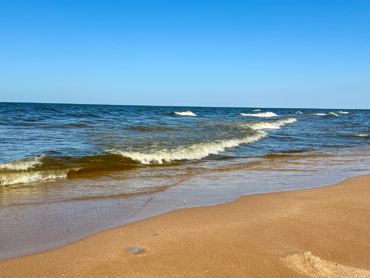 Азовское море в августе.