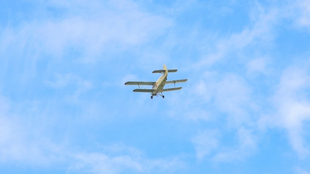    Елена Майорова/Global Look Press