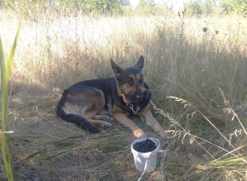 Фото автора