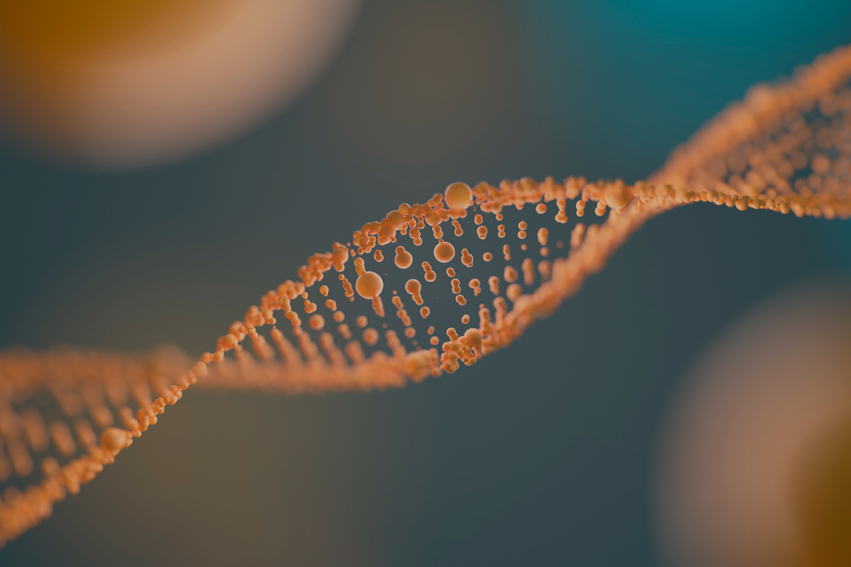 <a href="https://ru.freepik.com/free-photo/3d-representation-dna_45147122.htm#fromView=search&page=1&position=29&uuid=0b5e4e2b-f915-4d0d-9f73-64952fedc4f0&query=%D0%BC%D0%B8%D1%82%D0%BE%D1%85%D0%BE%D0%BD%D0%B4%D1%80%D0%B8%D0%B8">Изображение от freepik</a>
