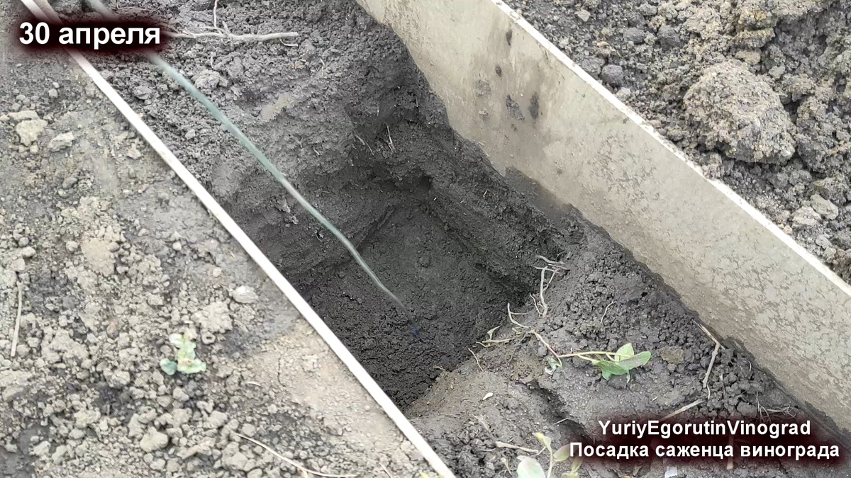 Посадочная яма