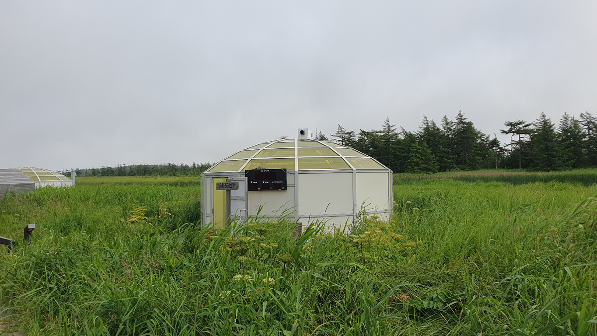 Дагинские термальные источники