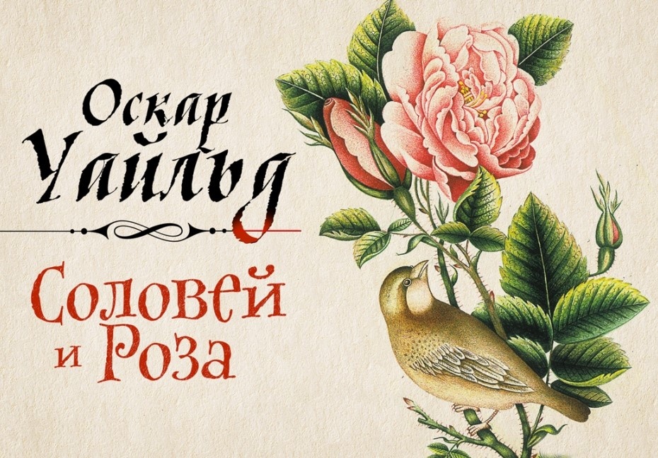 Источник:сеть Интернет