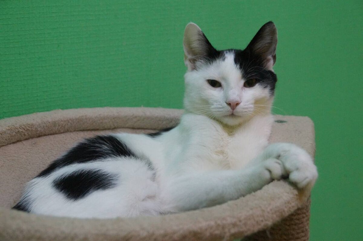 Я старался, я позировал!!