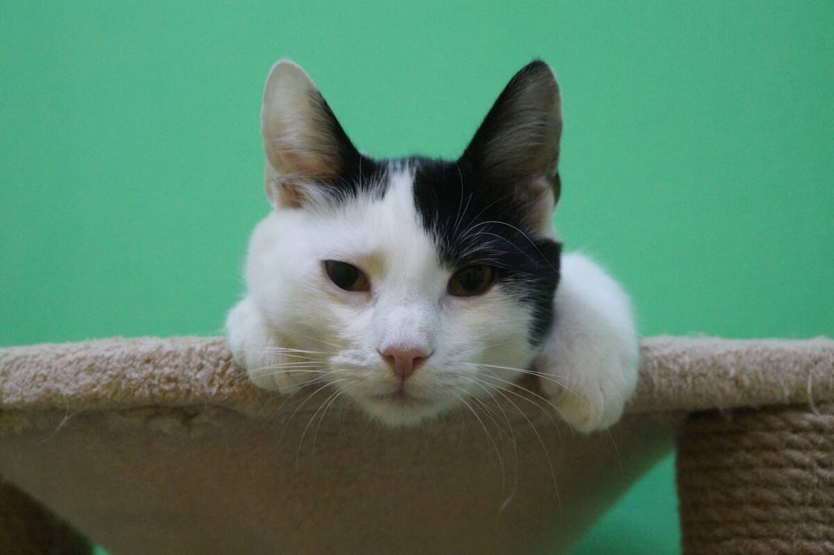 Я тоже красивый, правда!!