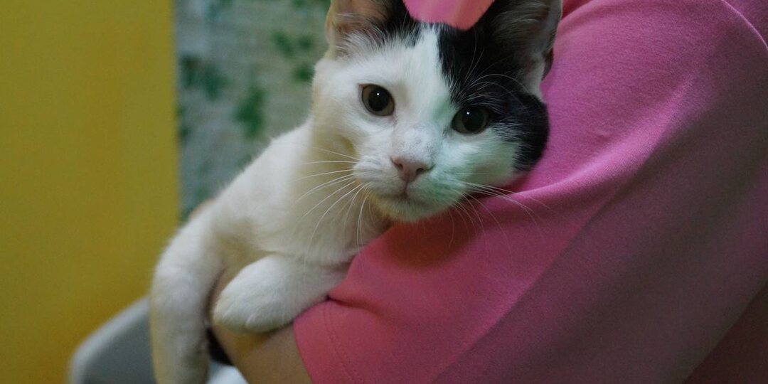 ДОМА!!! На таких вообще не обращают внимание в интернете. А ведь к ним нужно просто доехать