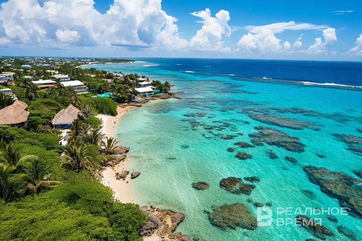   Реальное время / realnoevremya.ru