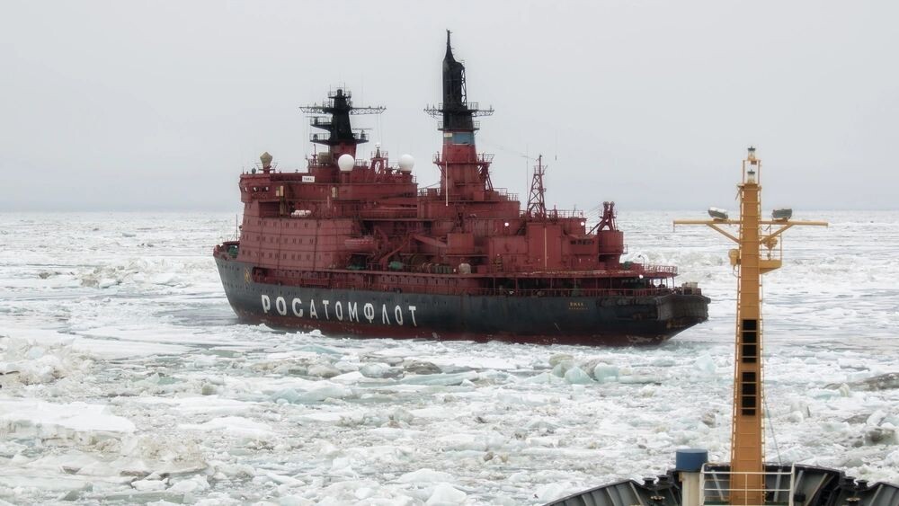    Фото: knyazev vasily/Shutterstock/Fotodom