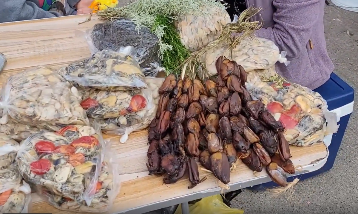 Чилийские моллюски, похожие на чурчхелу