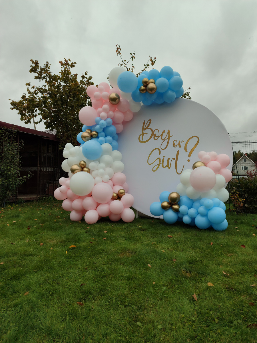 Фотозона на Гендер- пати в Богородском районе, частный дом.