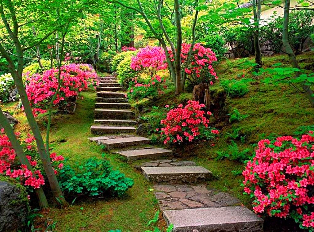 Фото из интернета. Для хорошего настроения.