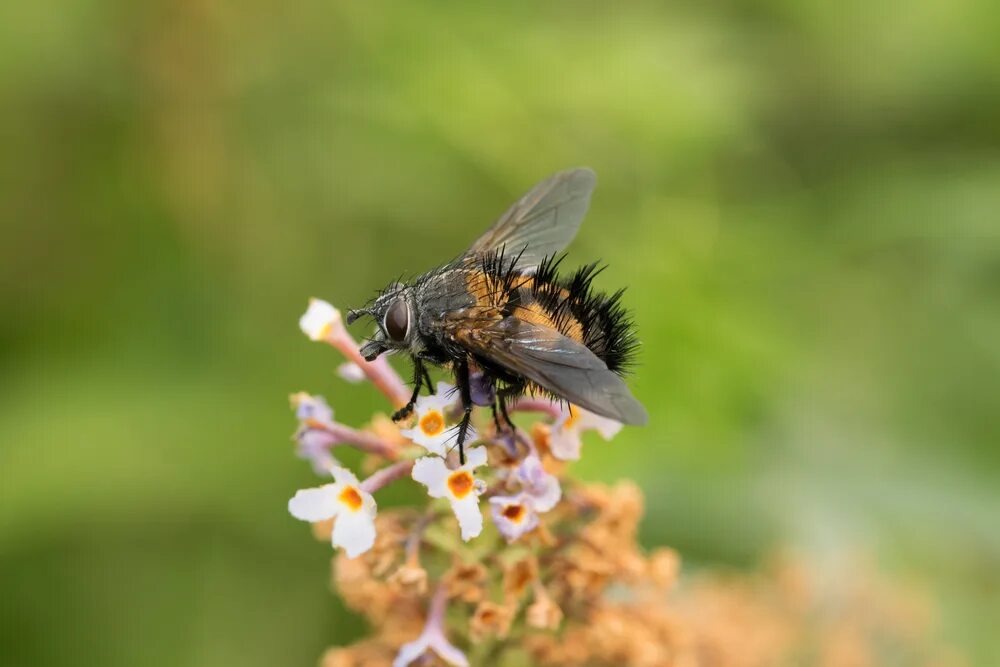 Фотография взята из открытых источников