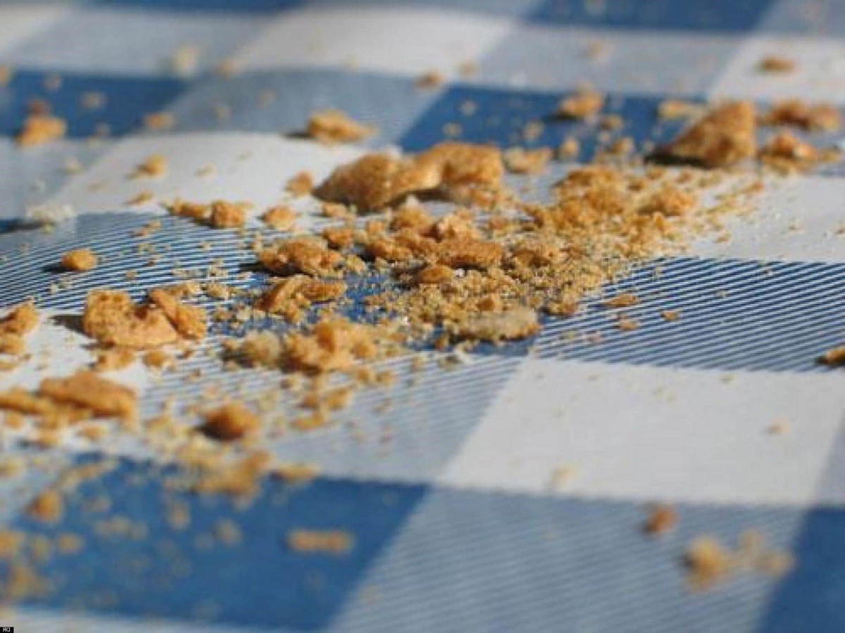 В итоге: диван остаётся святыней, неприкасаемой территорией для его кулинарных церемоний.
