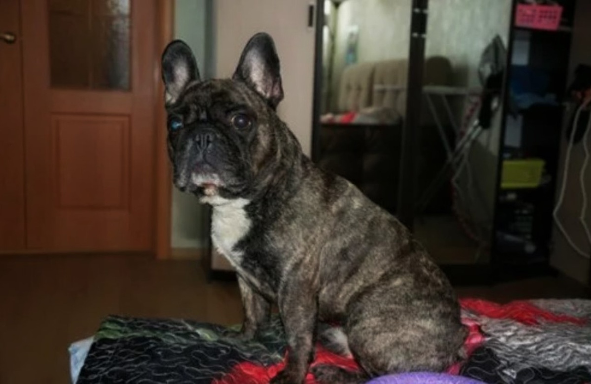 И я уже не знаю, как с этим бороться.
