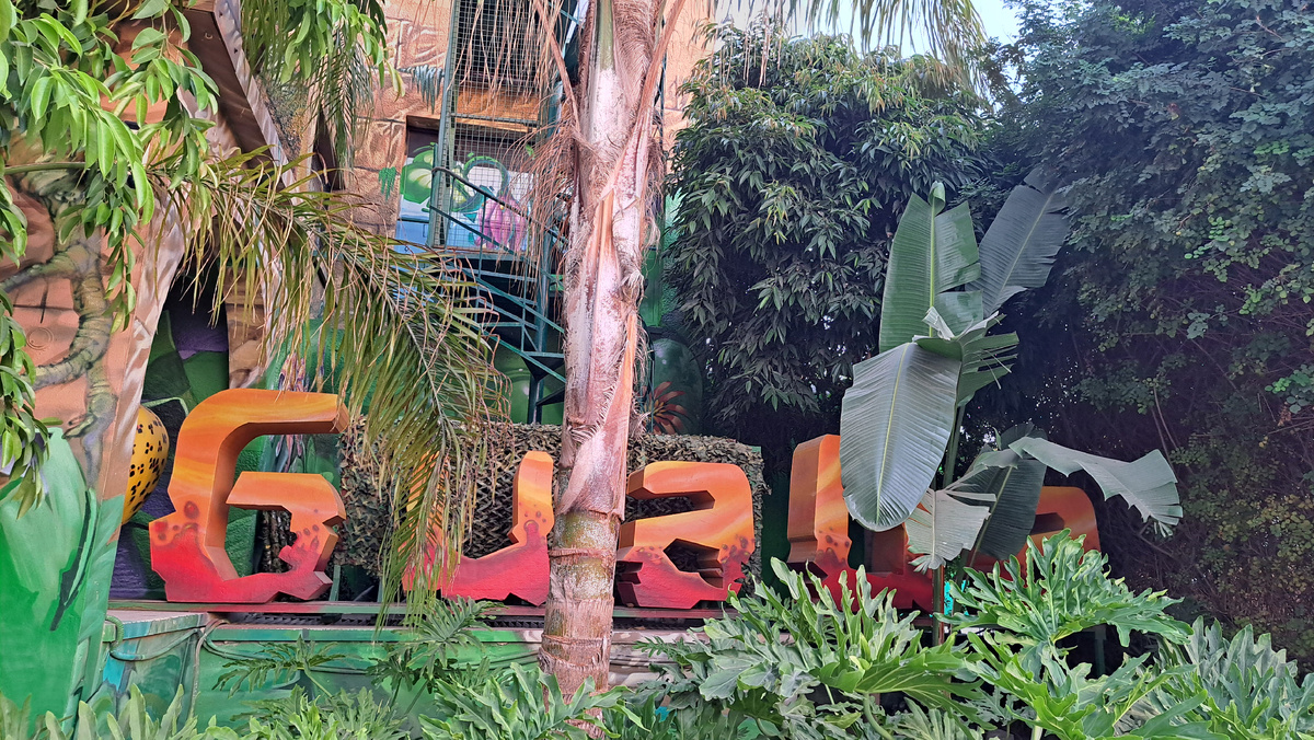 Фото автора статьи 