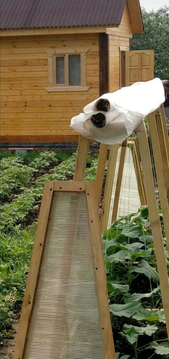 Банно-огородный пейзаж)) 