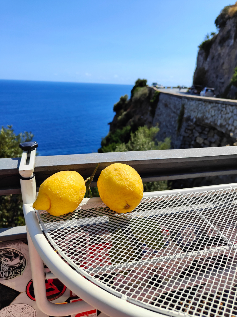 Яркие ароматные лимоны на фоне великолепного синего моря - вполне характерная картинка 