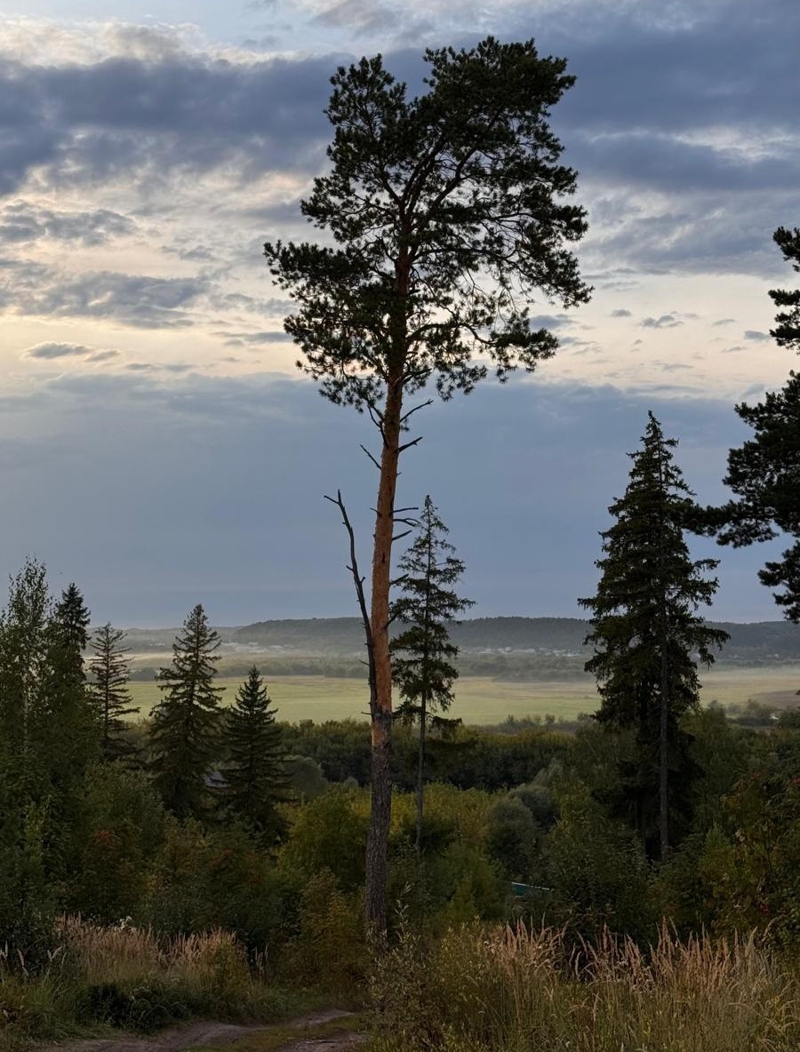 Когда солнце спряталось. Фото сделано в Кировской области.