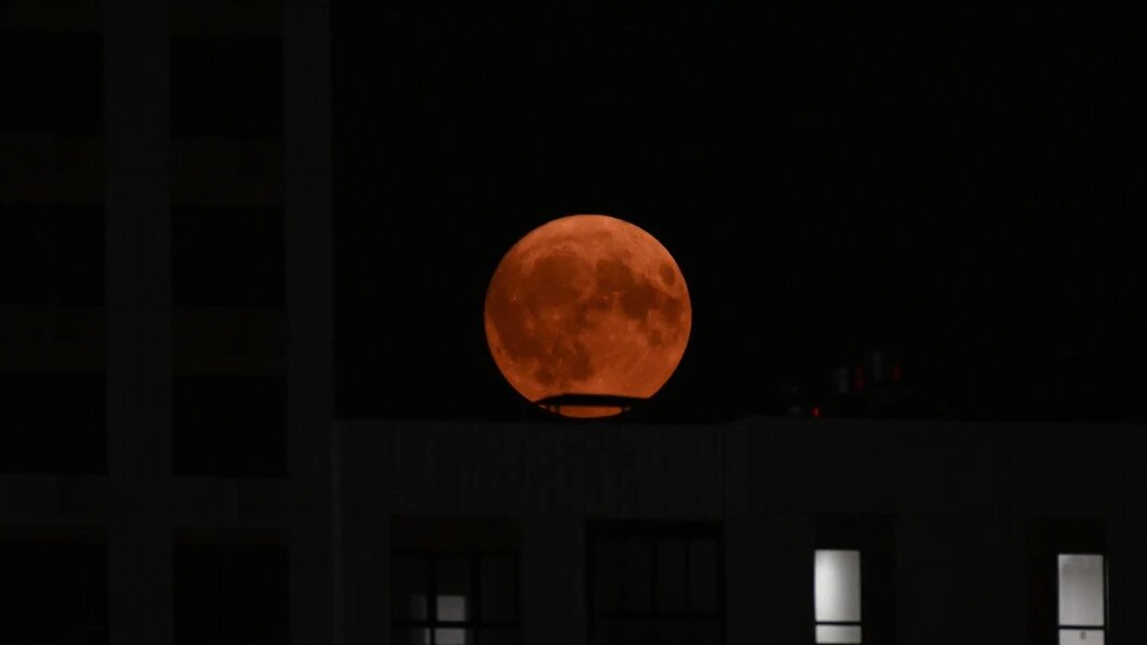    Komsomolskaya Pravda/Global Look Press