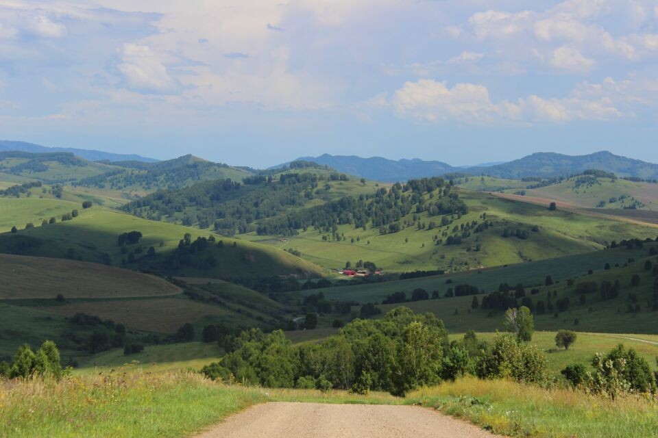    Солонешенский район, недалеко от села Большая Тихая. Источник: Евгения Кочеткова/"Толк"