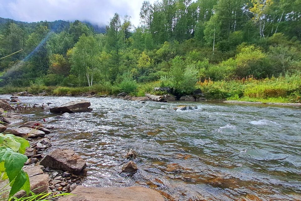    Река Ануй. Источник: Илья Кочетков