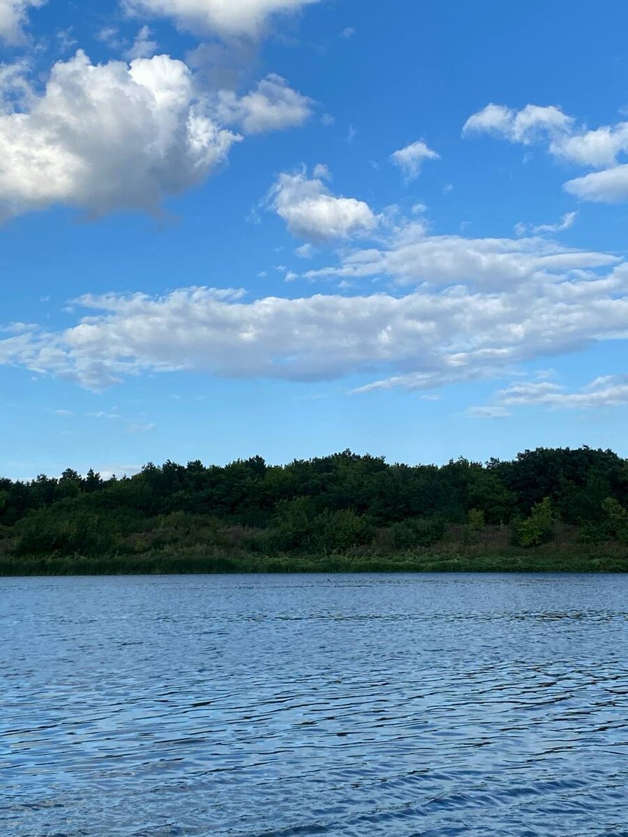 На берегу Дона.