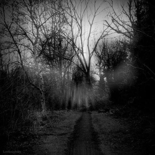 Изображение взято из открытых источников интернета. 