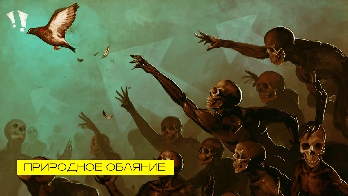 «Харизма — это не трюки, не маски, это результат внутренней работы» 