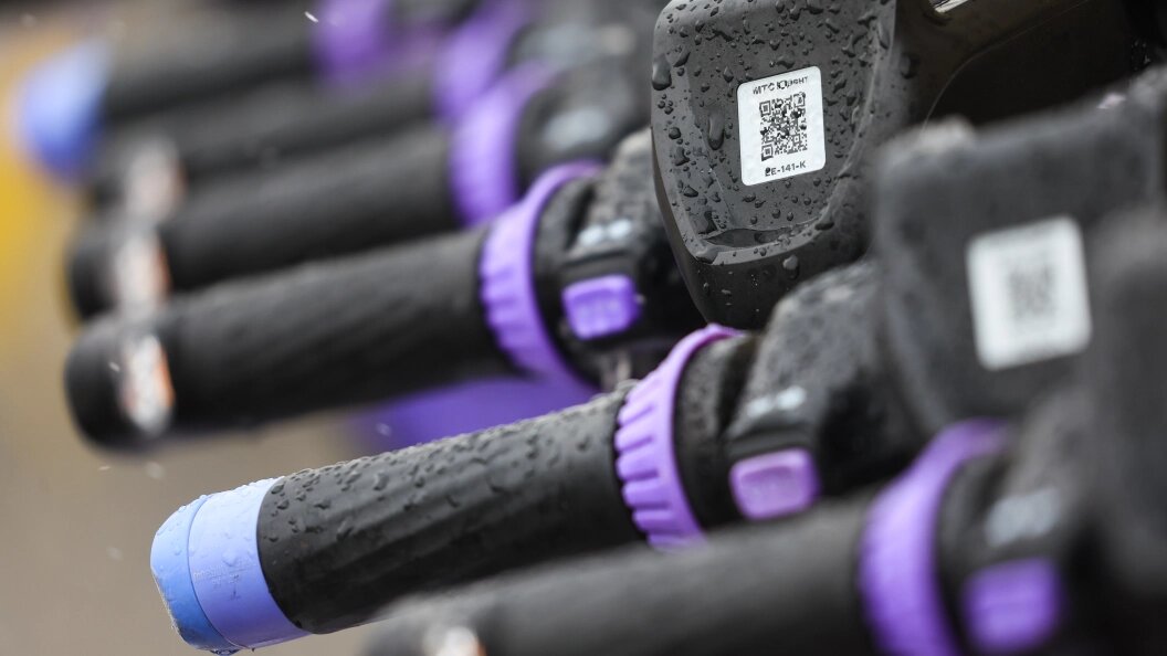    Фото: Shatokhina Natalia