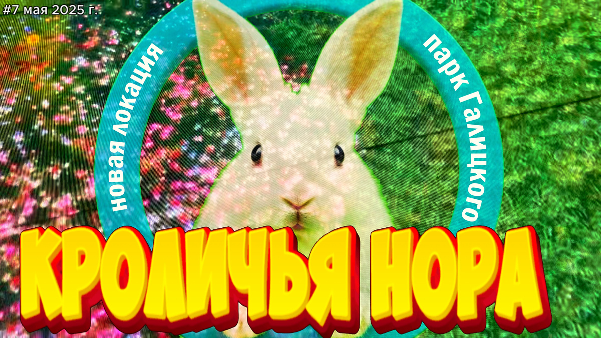 Смотрите видео сюжет в конце