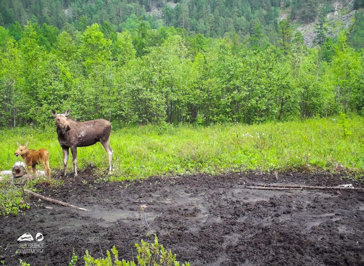Листайте галерею, чтобы увидеть все фотографии! 👉🏻