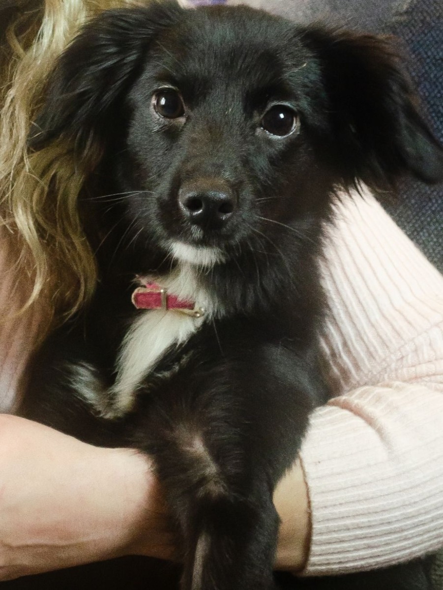 Кирюша когда-то была на грани..