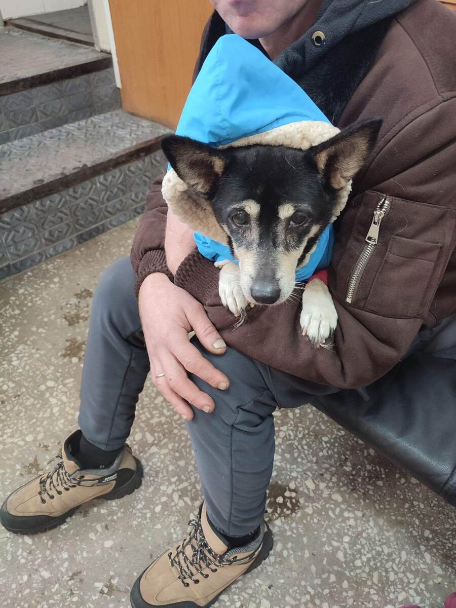 Наша старушка Чупа..