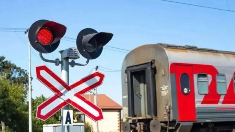    Фото: Natalia Kokhanova/Shutterstock/Fotodom