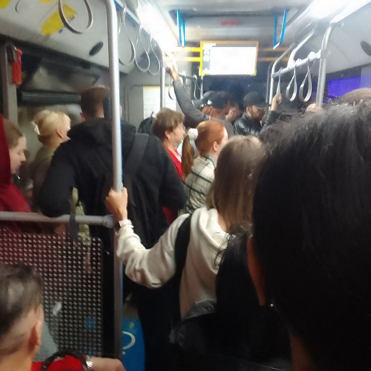 На фото салон автобуса, в котором  ехал вчера.