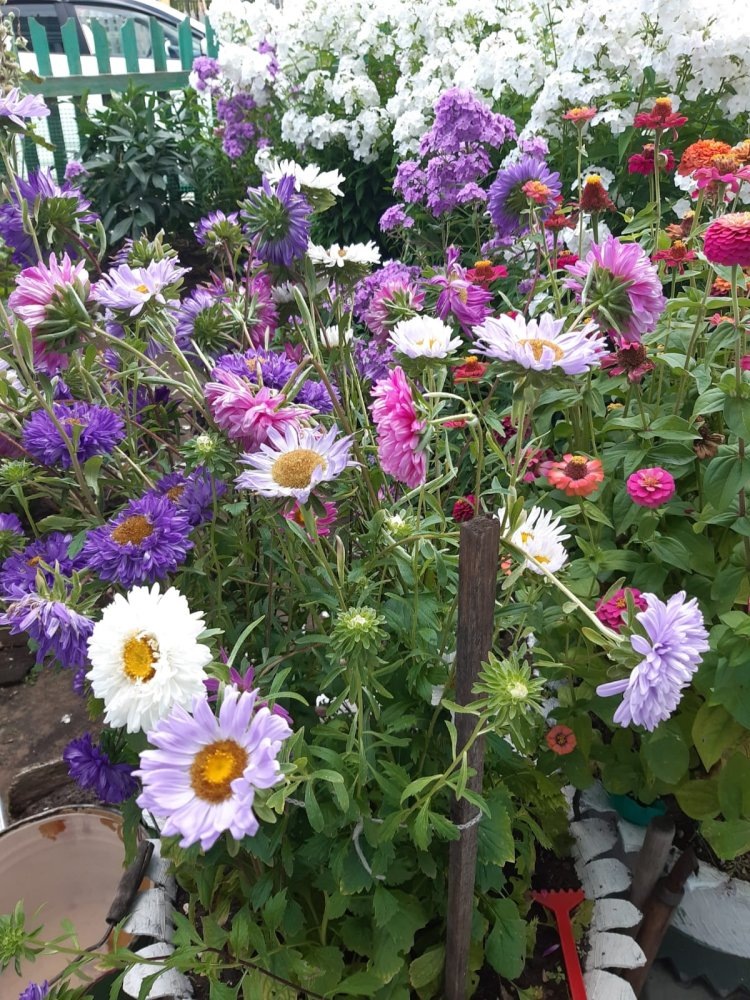    У кого что, а у меня орех