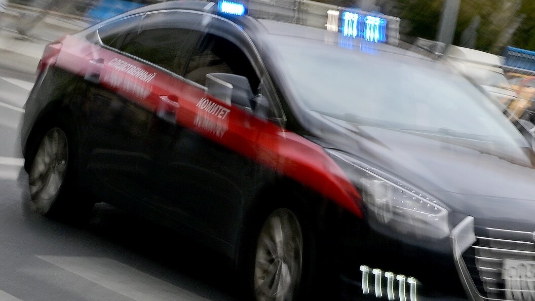    Фото: Vladimir Baranov/Globallookpress