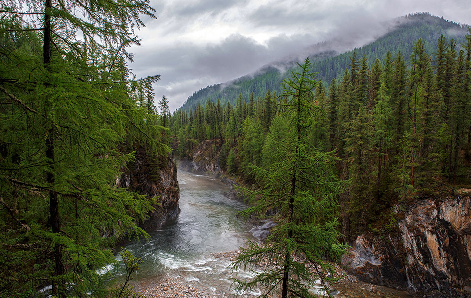 Река Морхой. Фото Бориса Слепнева