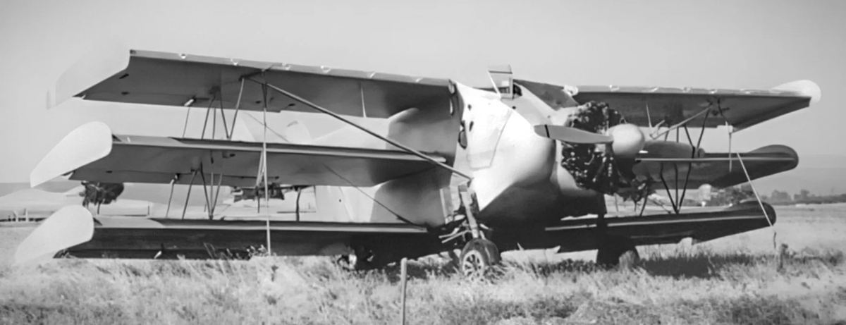 Картинки Яндекса. DeKellis-Oslon

